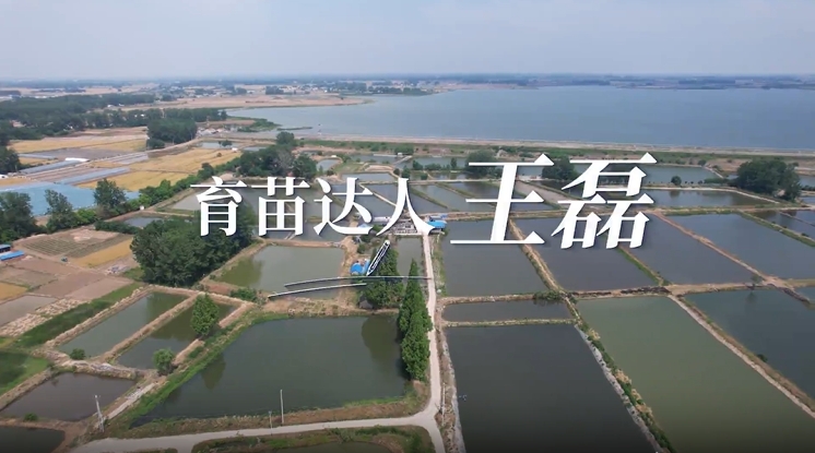 《育苗達人--王磊》