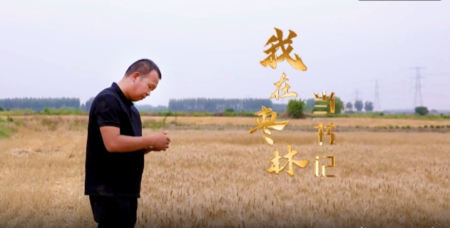 《我在棗林當書記》